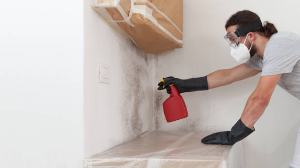 Professional Bathroom Mold Removal technician working in Halifax, PA