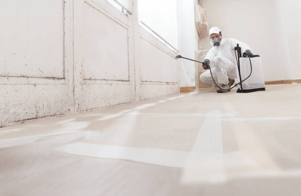 24/7 Emergency Bathroom Mold Removal experts in Halifax, PA