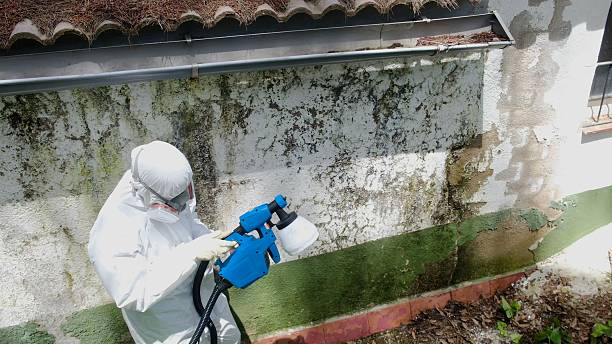 Top rated local Bathroom Mold Removal specialists in Halifax, PA